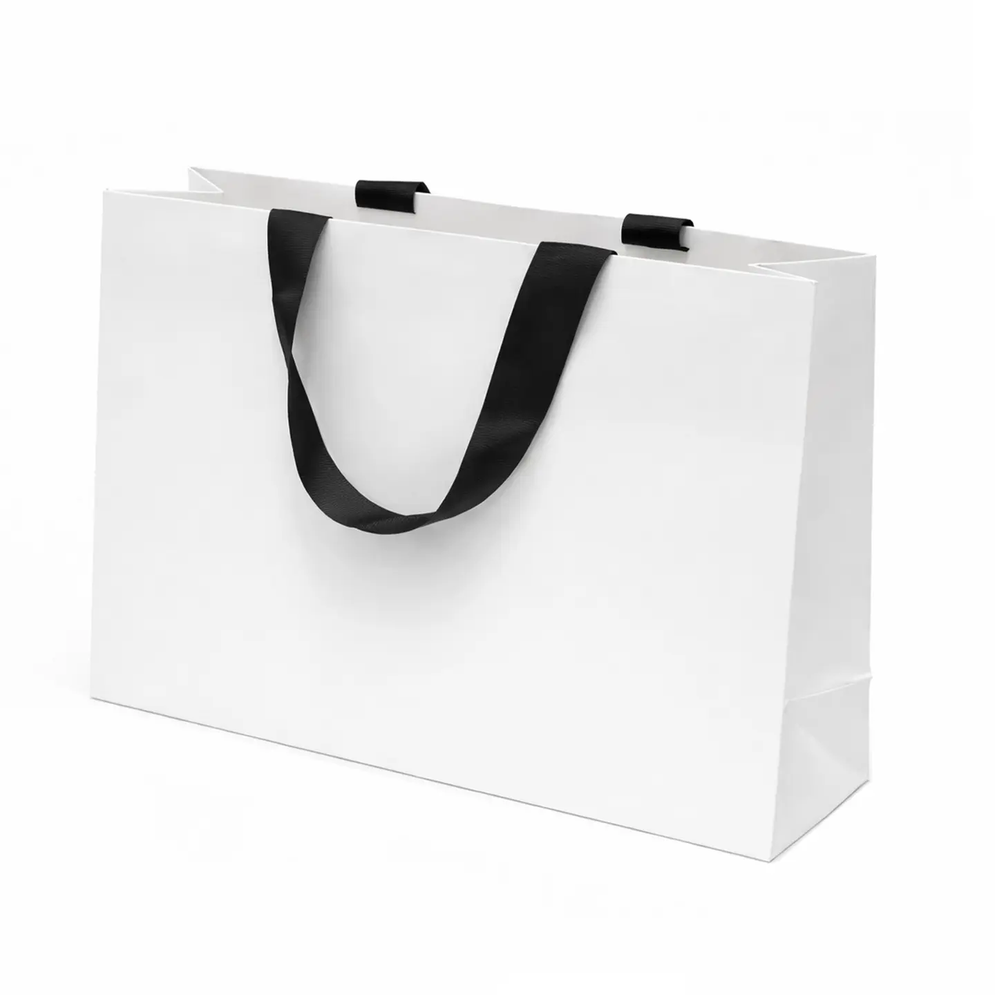 Large Luxury Gift Bag
