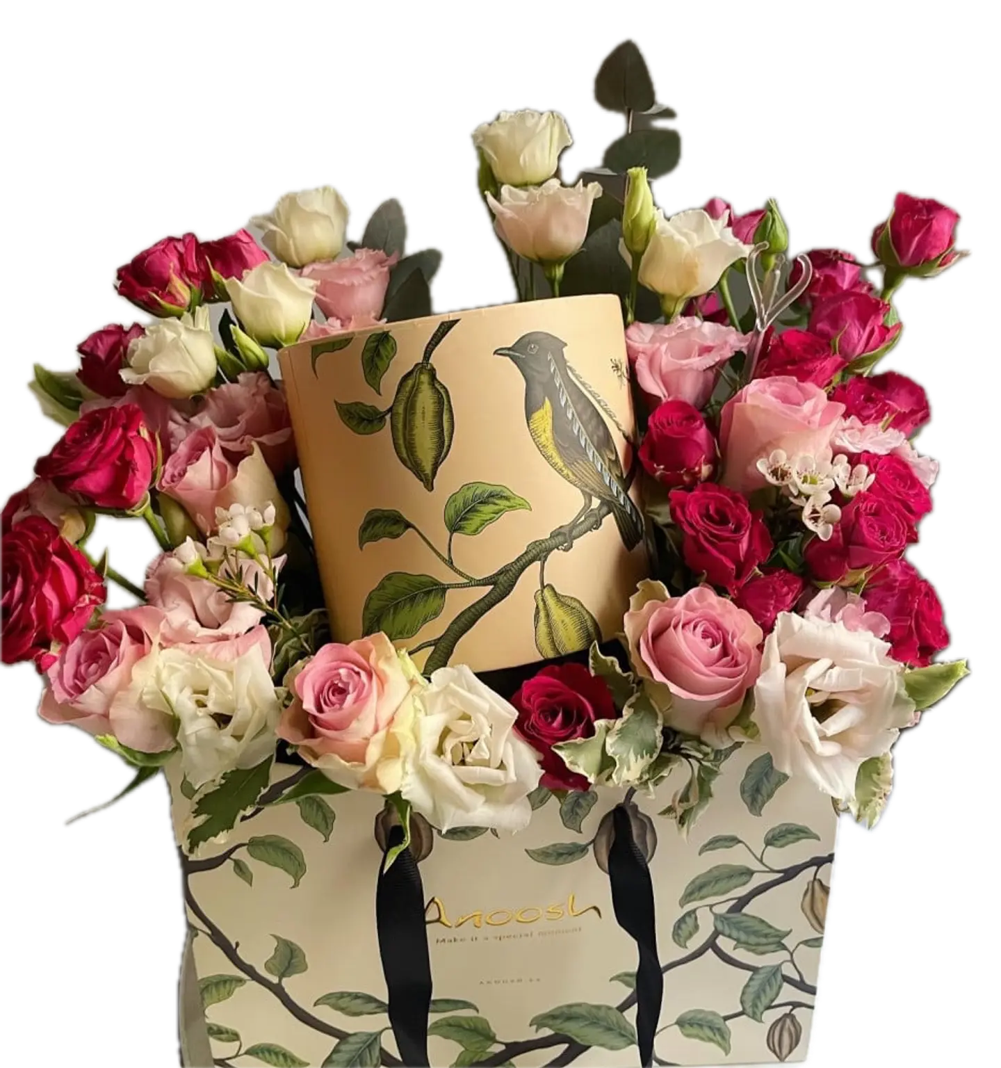 Coordination Of Tofi Bats Anoush