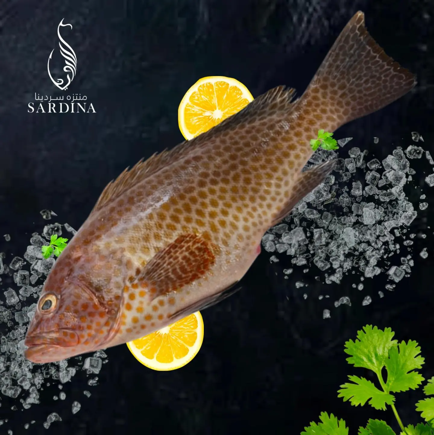 Fried Hamour Fish