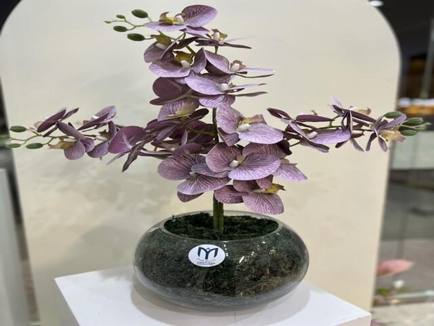 Orchid Vase