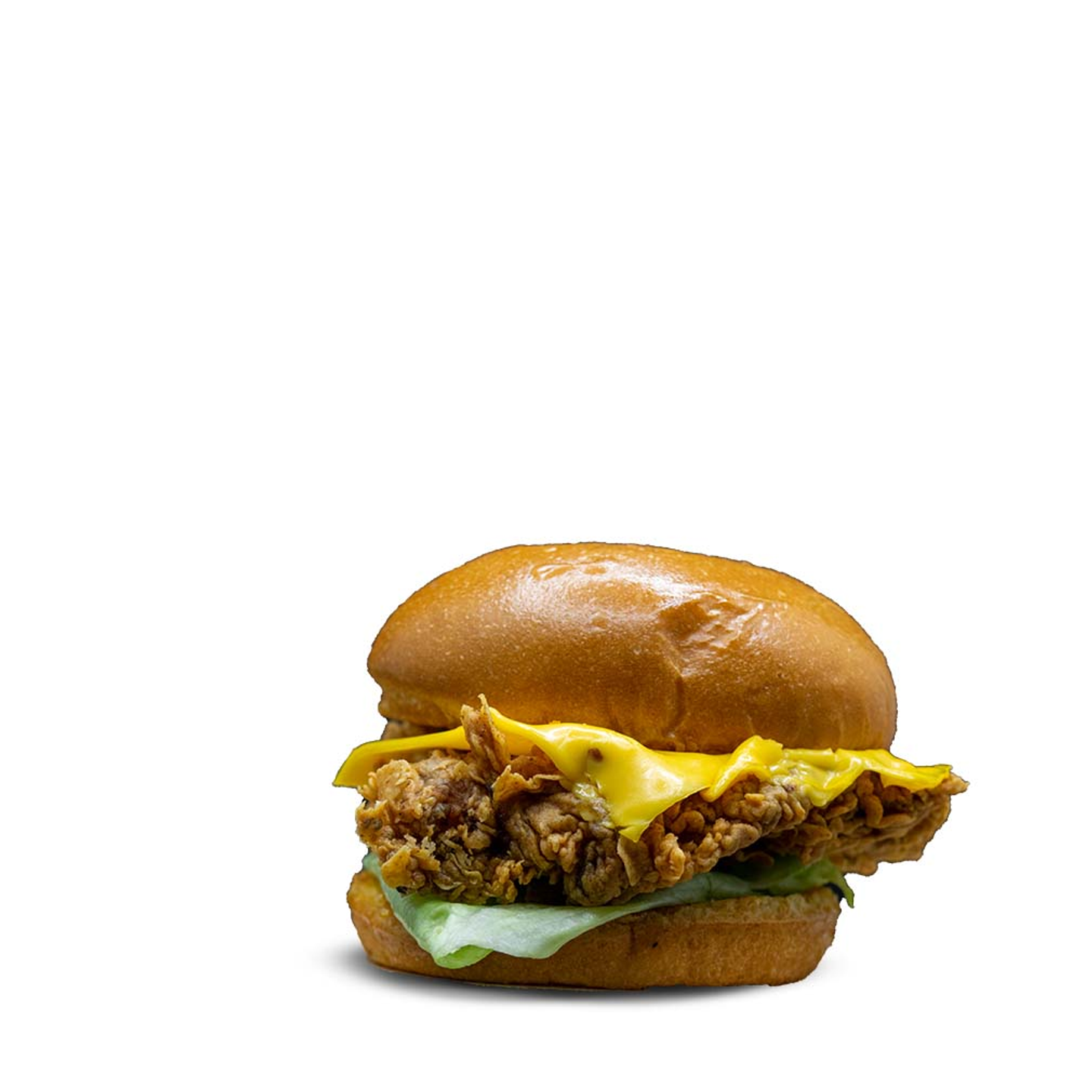 Chicken Zinger