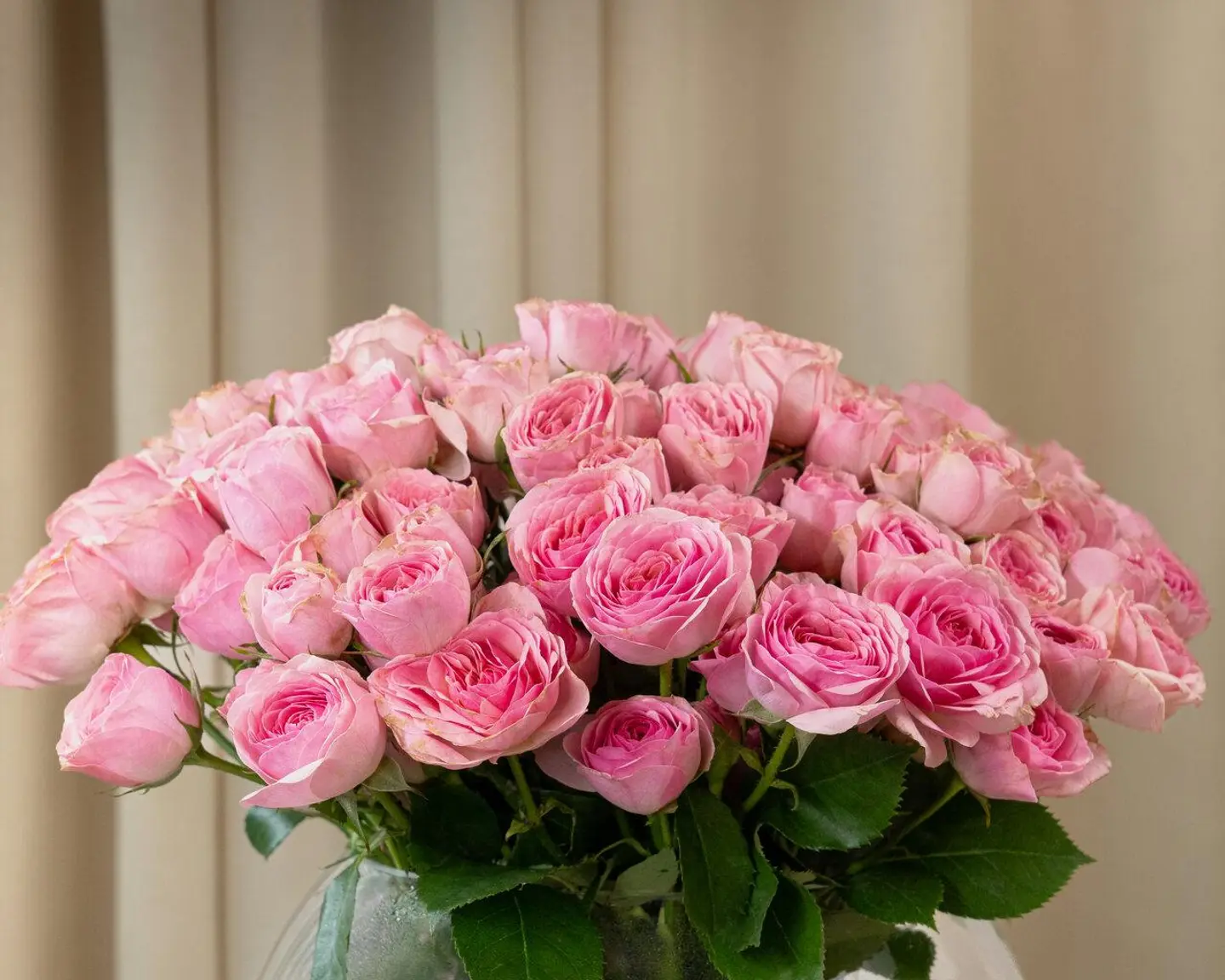 فازة رافيلا