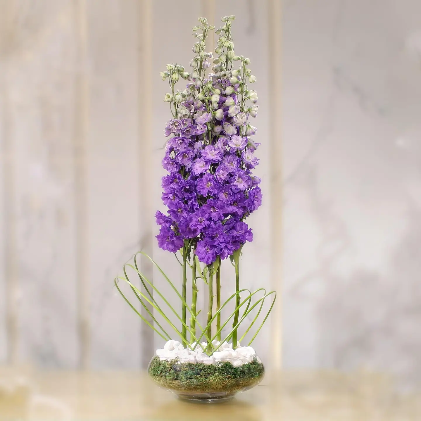 Delphinium Vase
