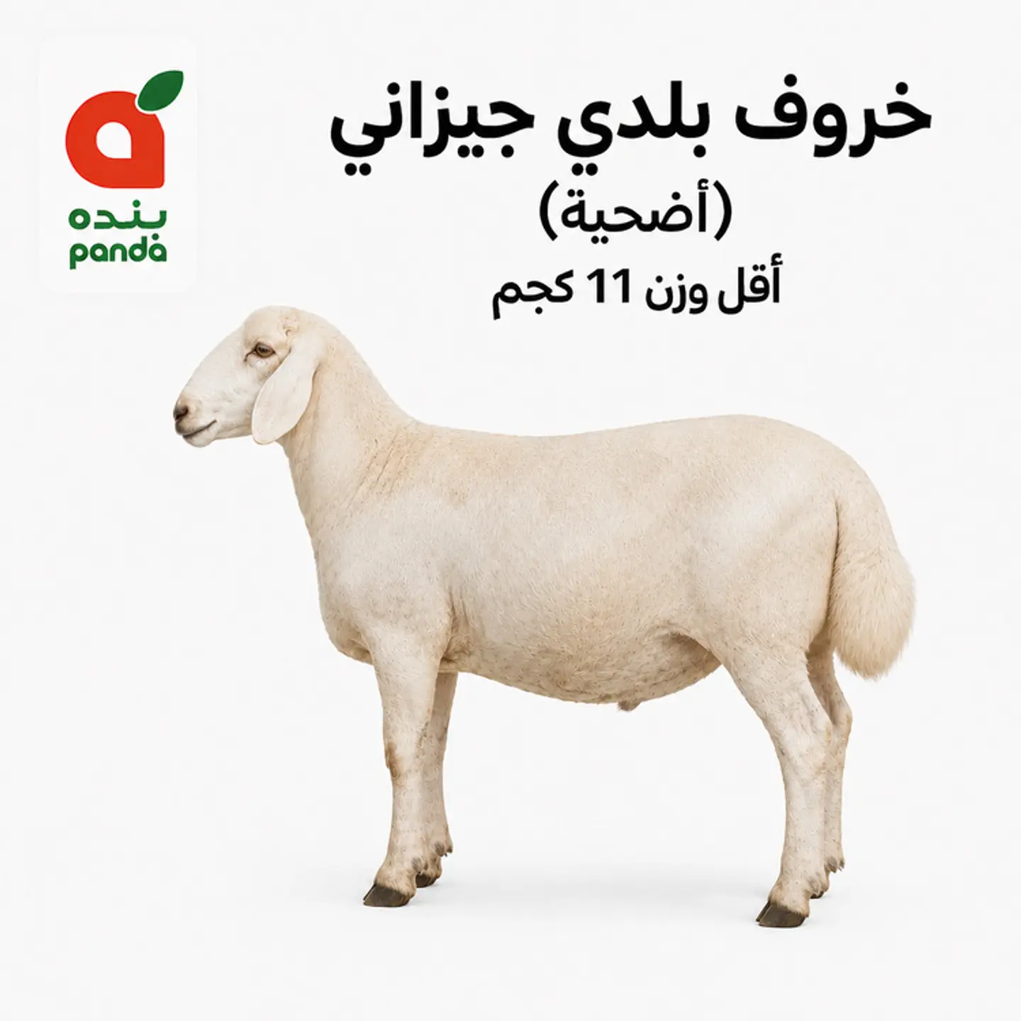 Frsh Lamb Baldai(Adhia) Min Weight 11 Kg