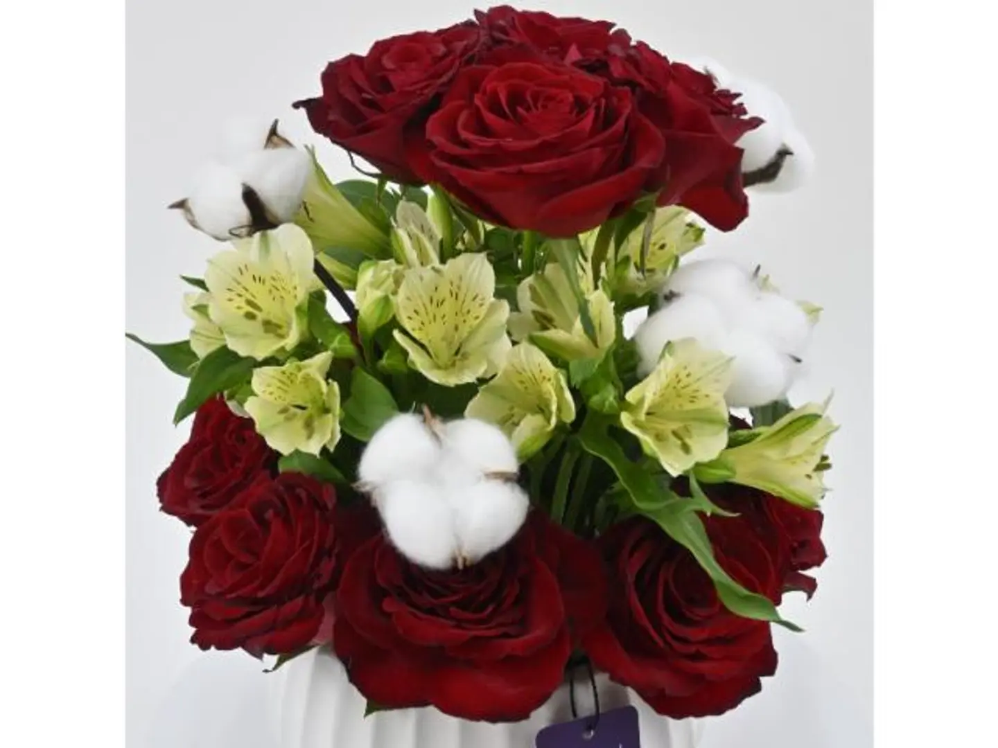 تنسيق فازة القطن الأحمر