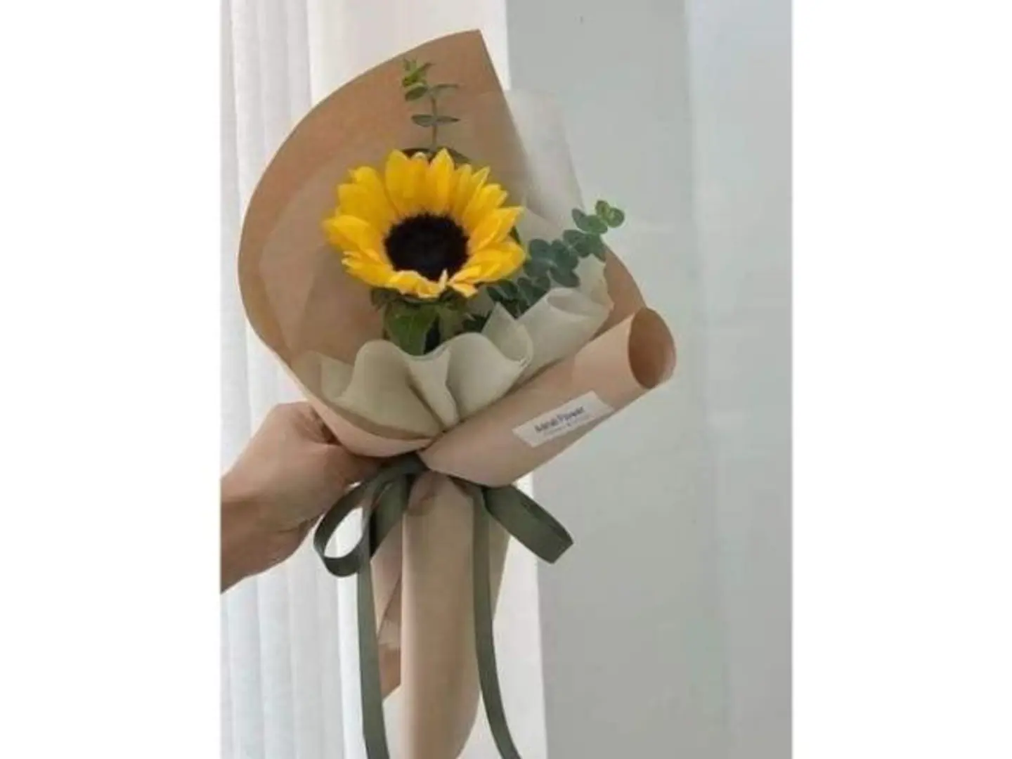 باقه دوار الشمس