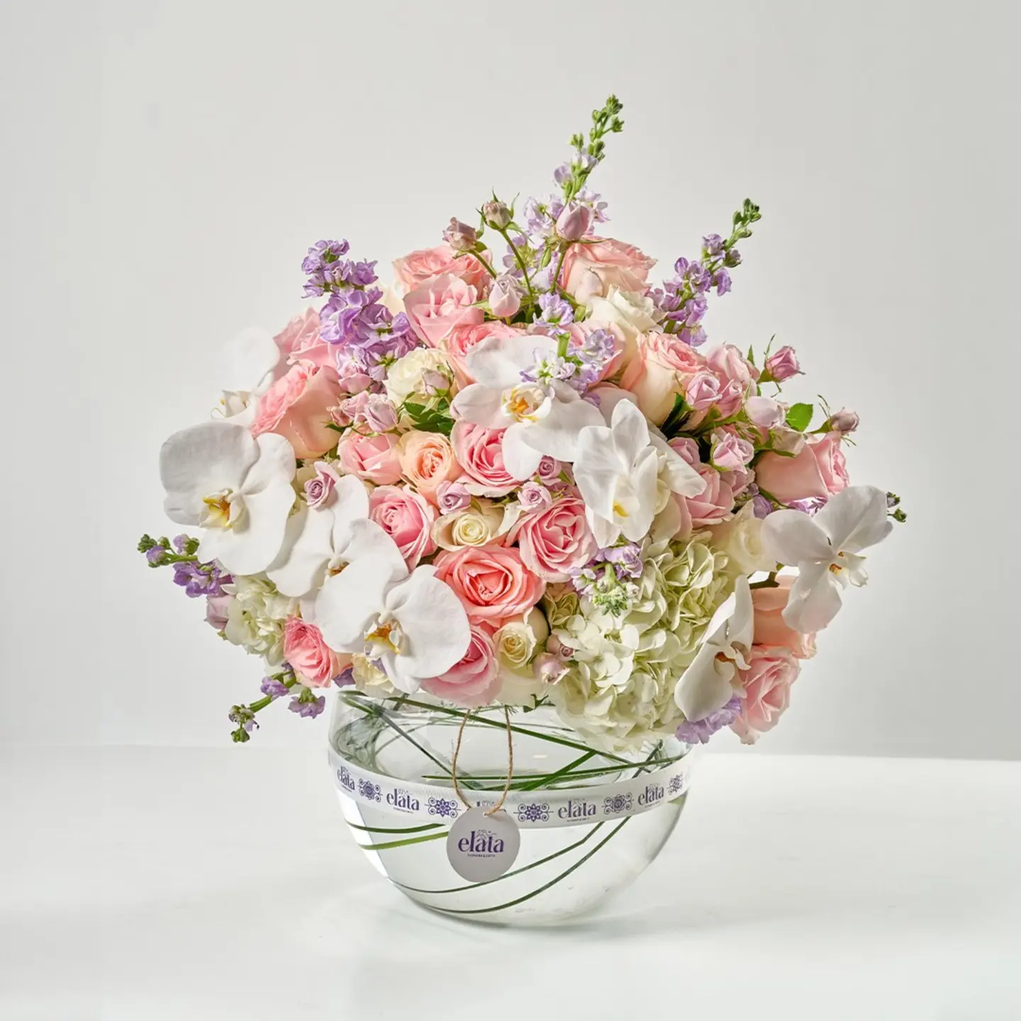 Vase Promise