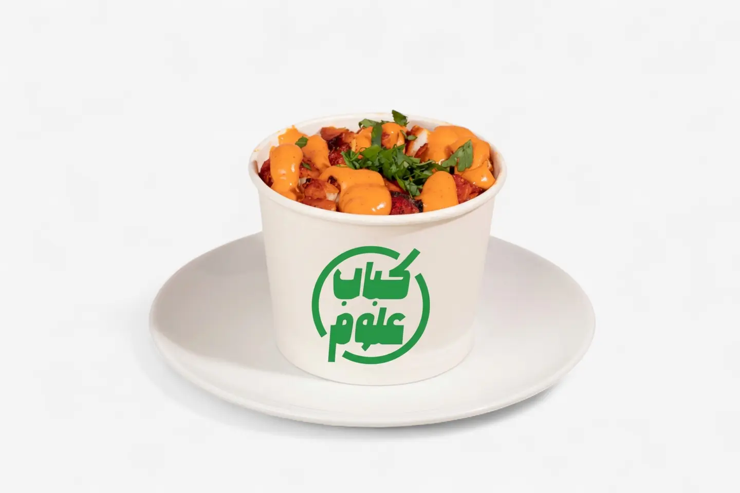 Chicken Tikka Fries