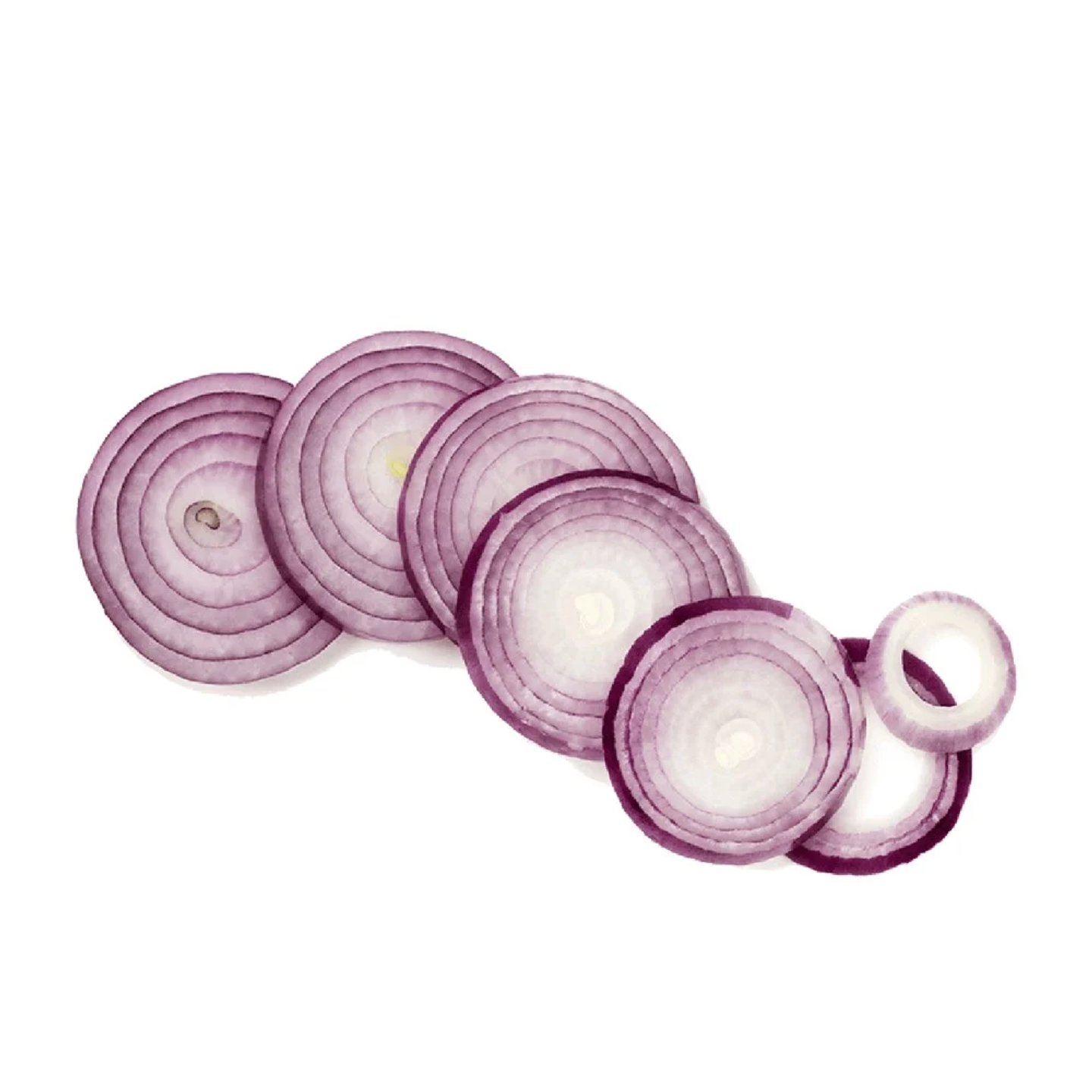 Onion