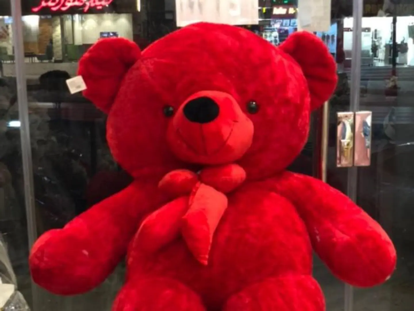 Valentine's Day Teddy Bear 1