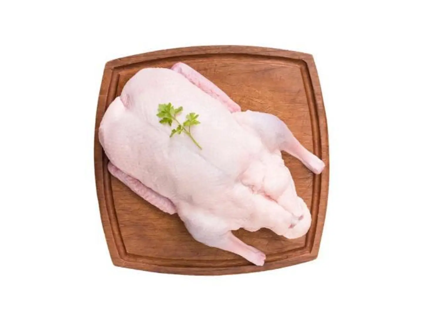 بط مسكوفي 1800 جرام