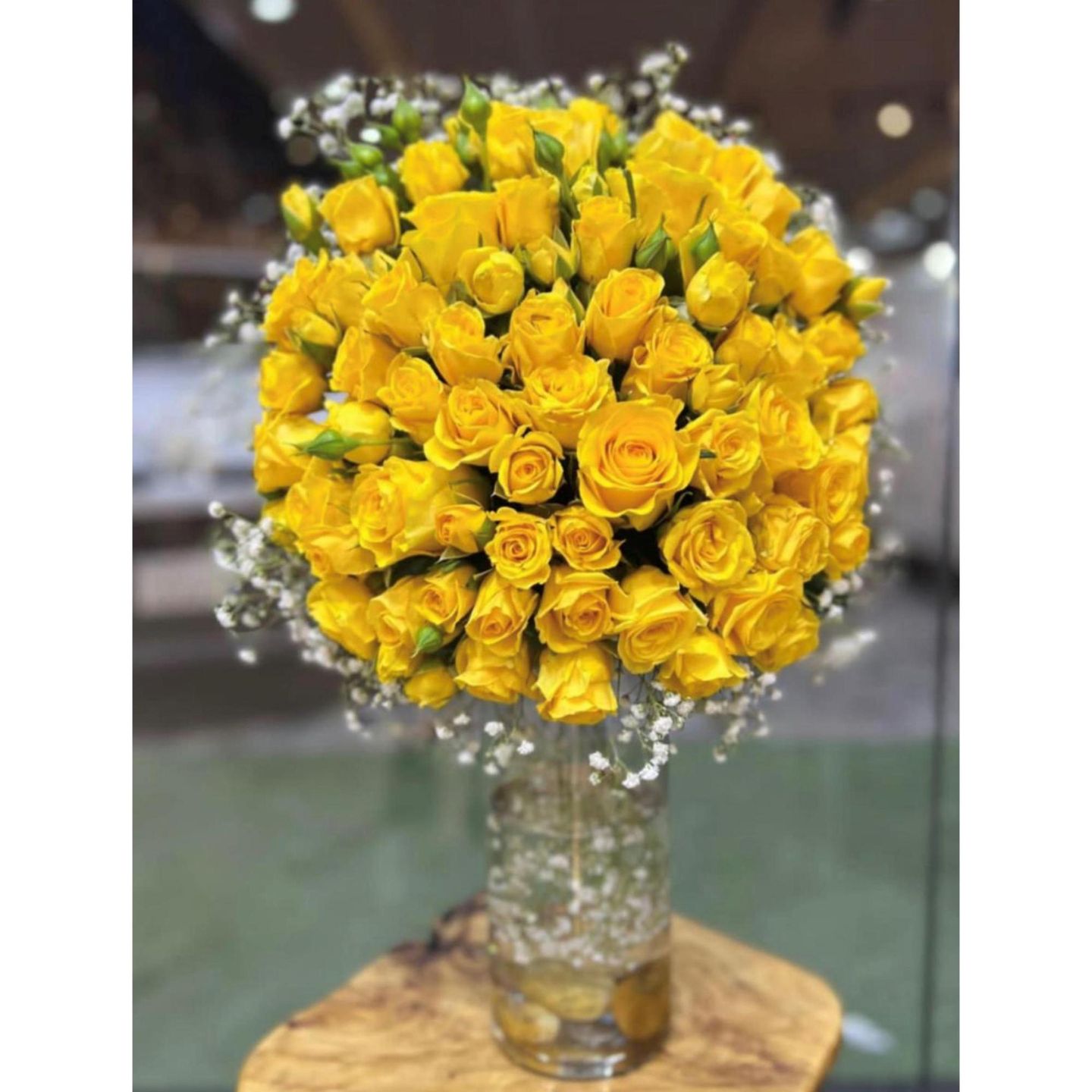 فازة 13