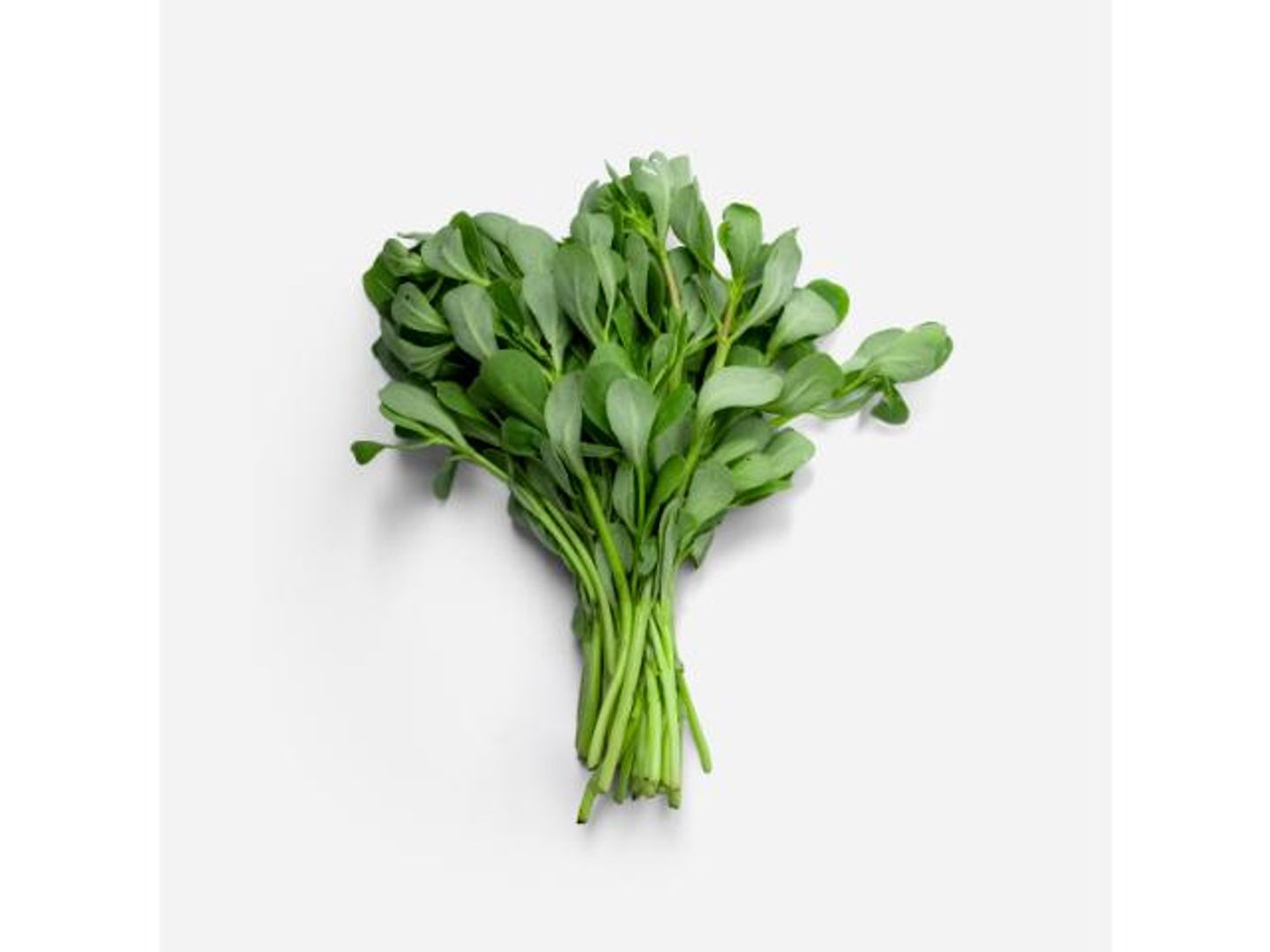 Purglan   Local   Per Bunch
