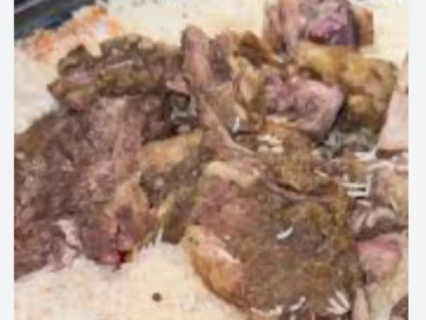 لحم بالقصدير
