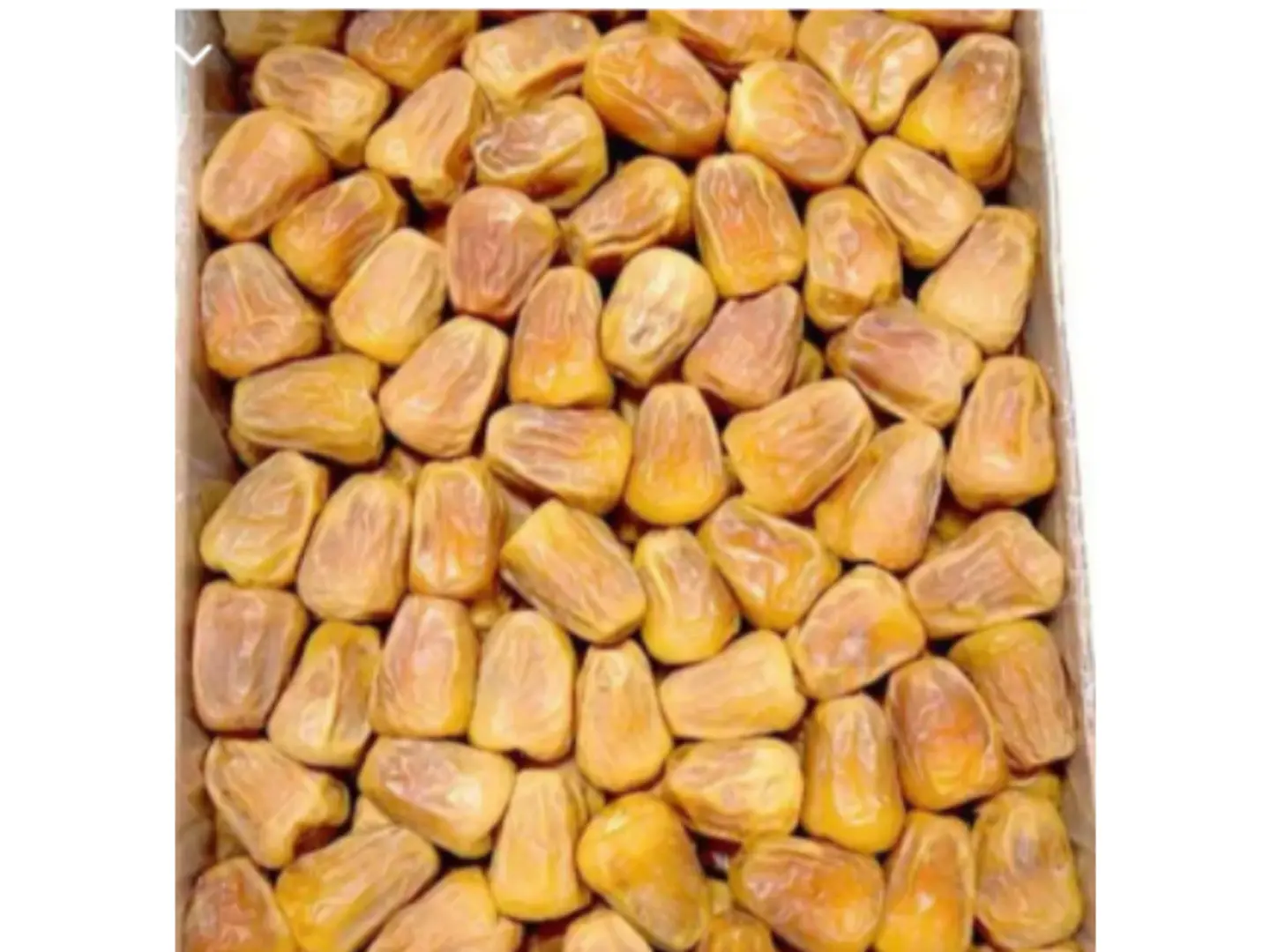 تمر مفتل القصيم - 1 كجم