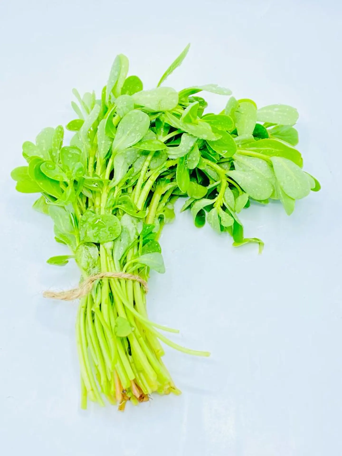 Purslane Package