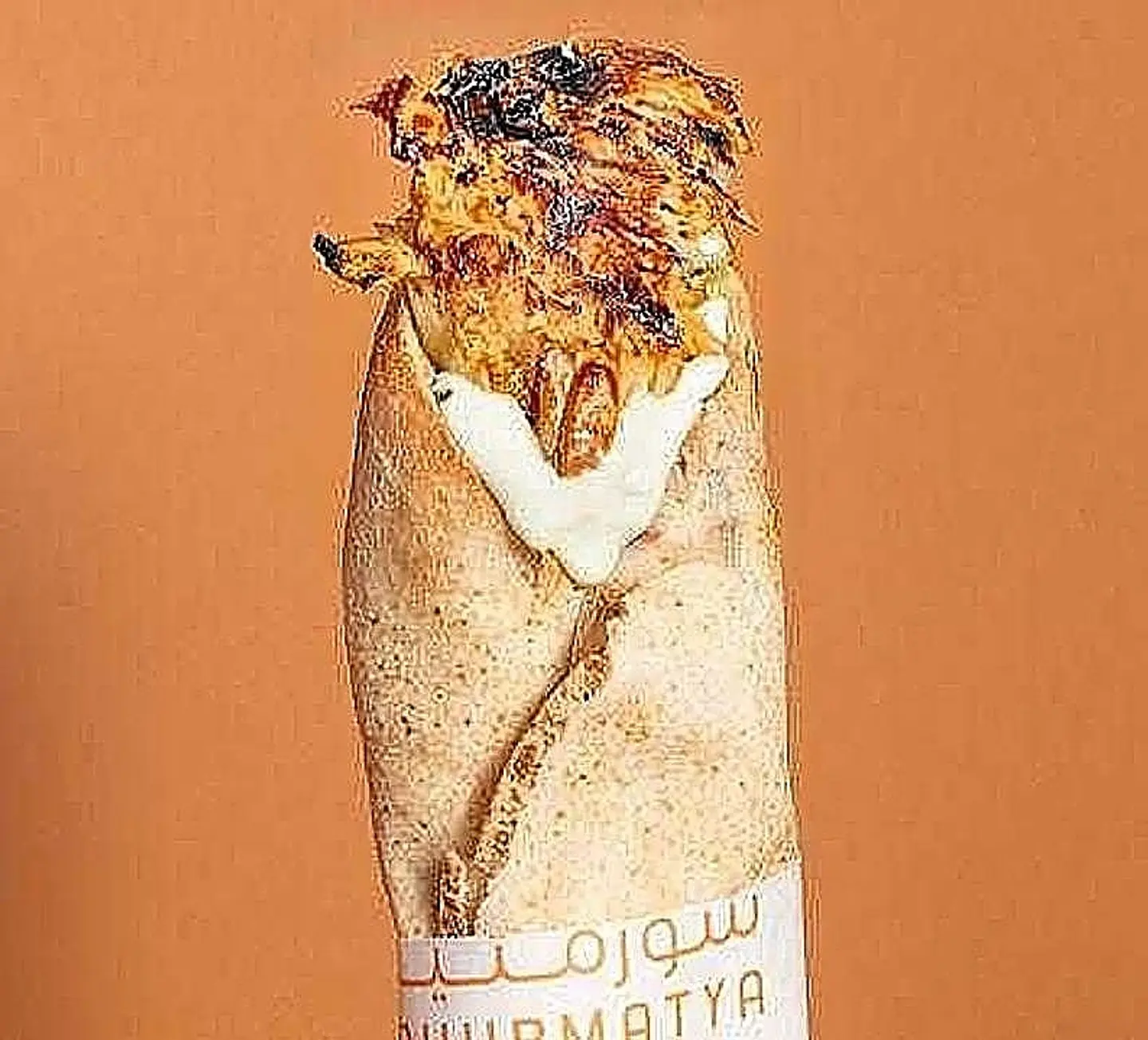 Classic Shawarma
