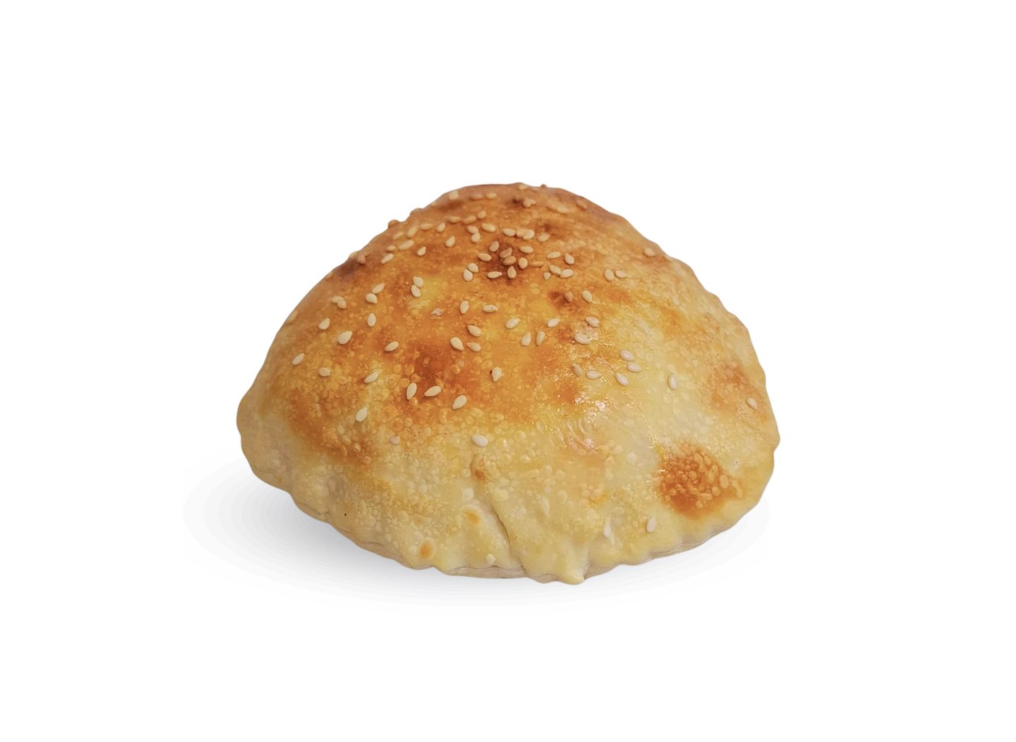 دجاج سادة