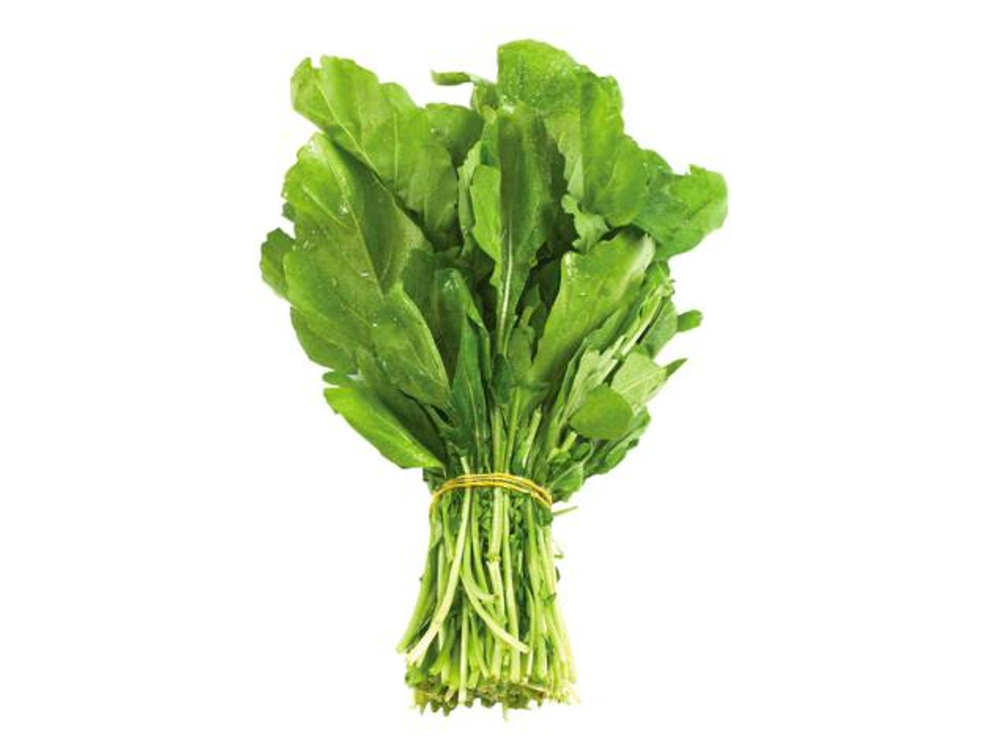 Arugula