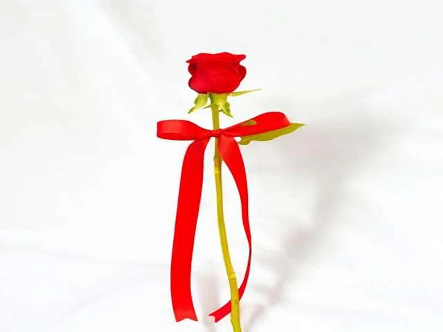 تي زيرو فور