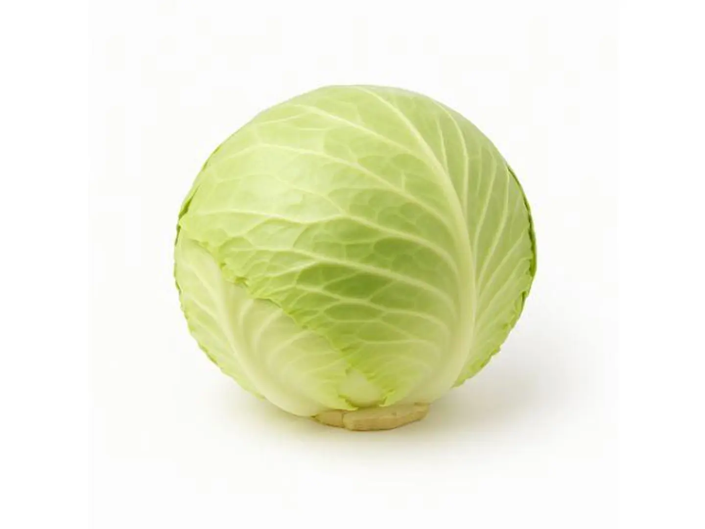 Cabbage