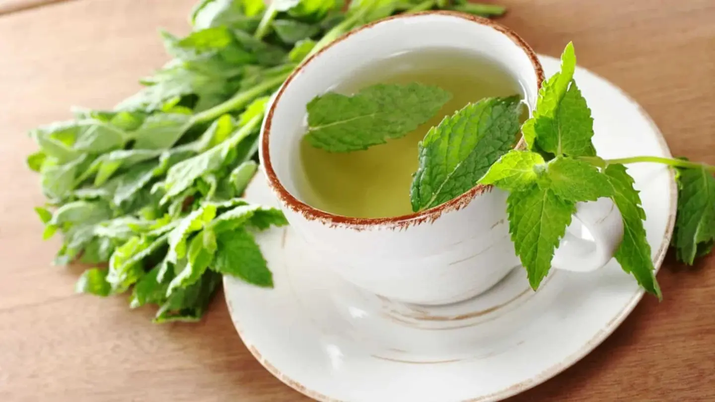 Plain Tea With Mint