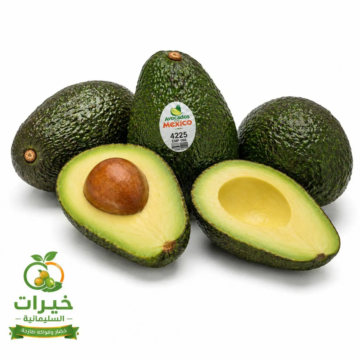 Avocado