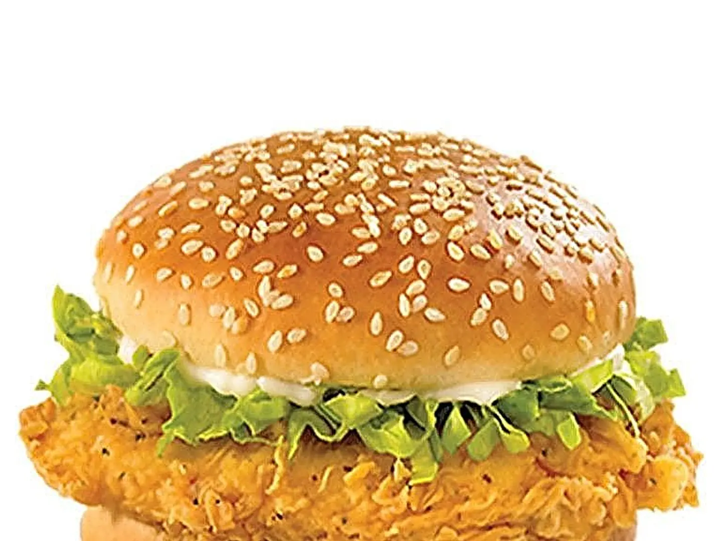 Chicken Burger Spicy