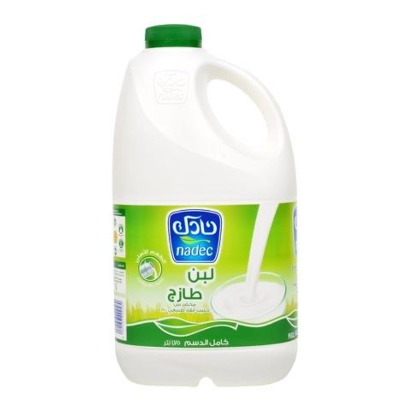 حجم عائلة اللبن