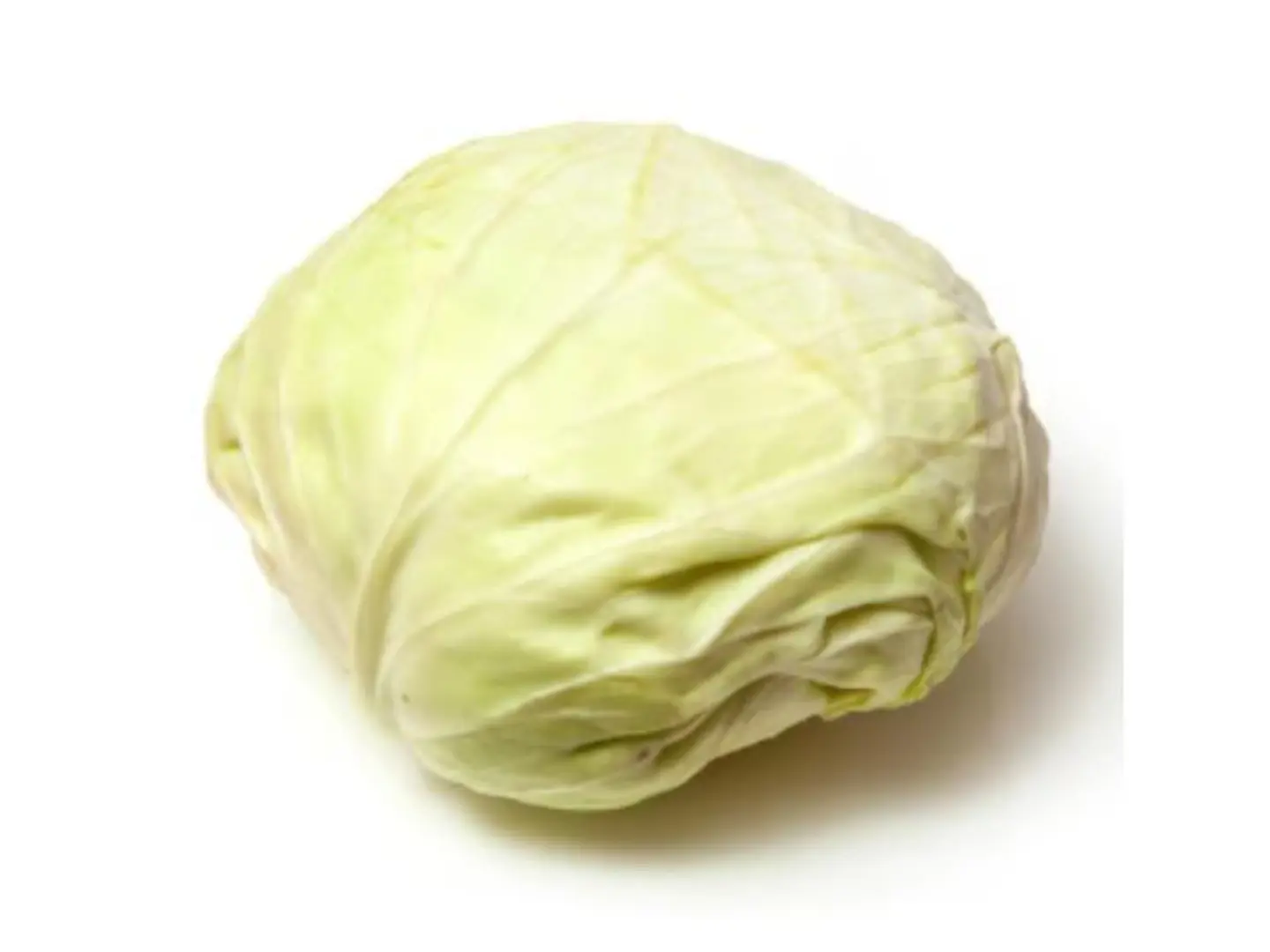 ملفوف