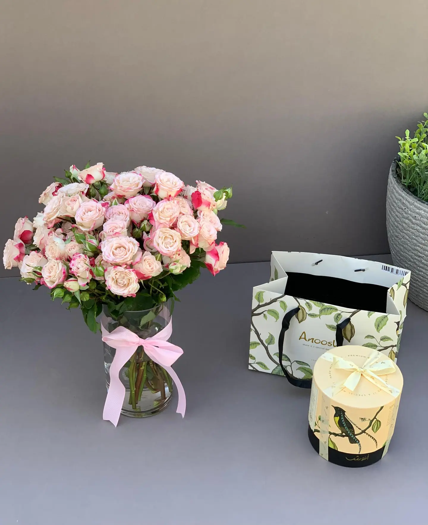 فازه وشوكلت انوش