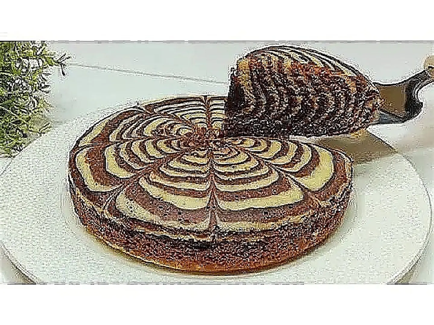 Geneva Cake