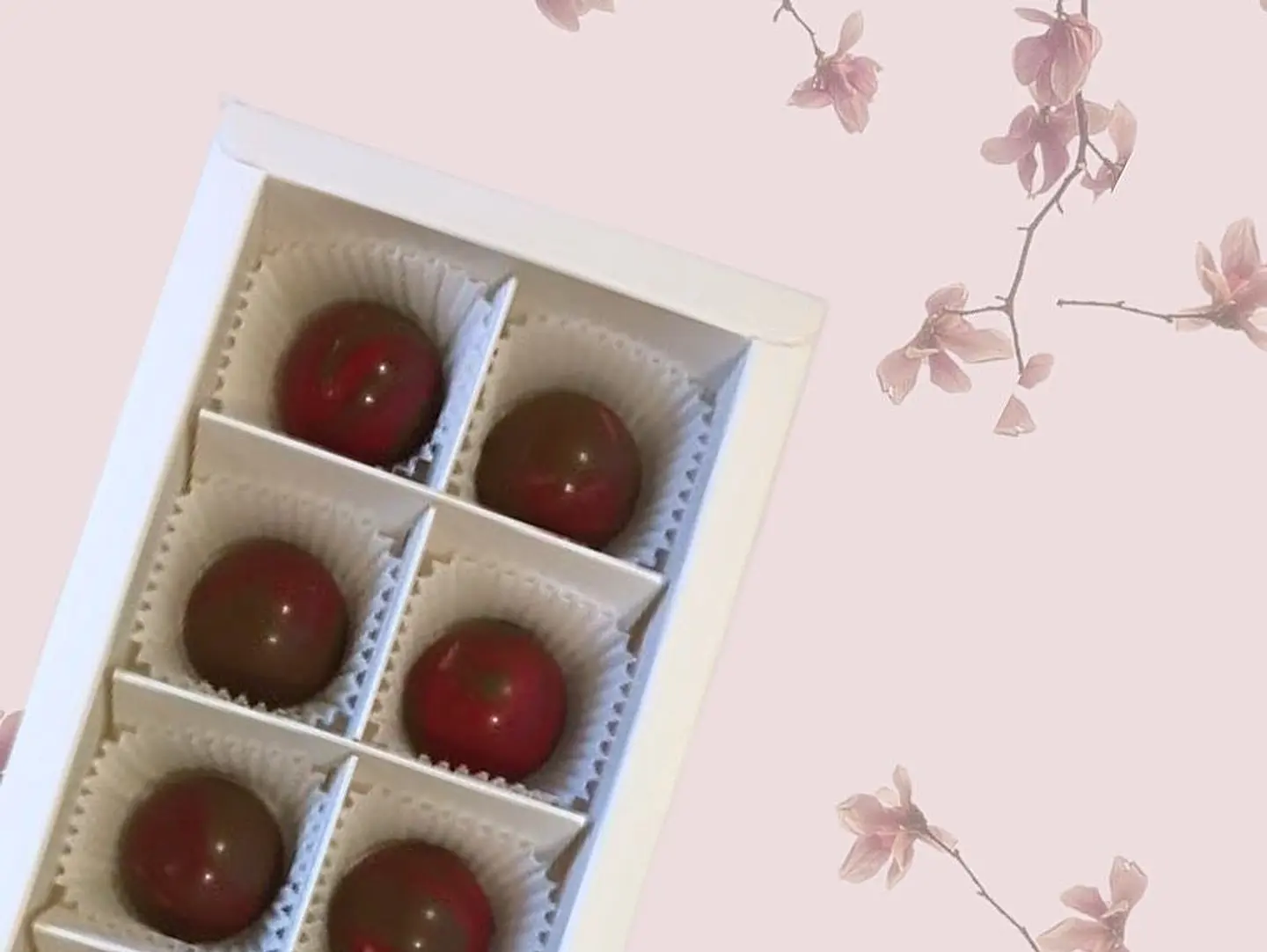Chocolate Box With Hazelnut Milk Cream