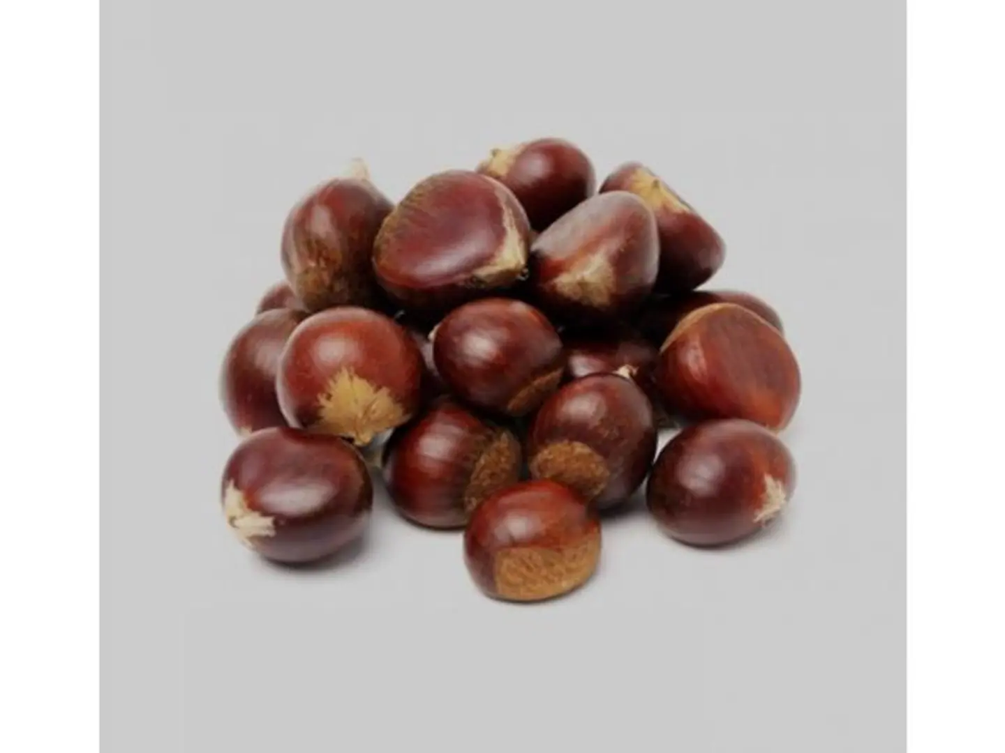 أبو فروة تركي