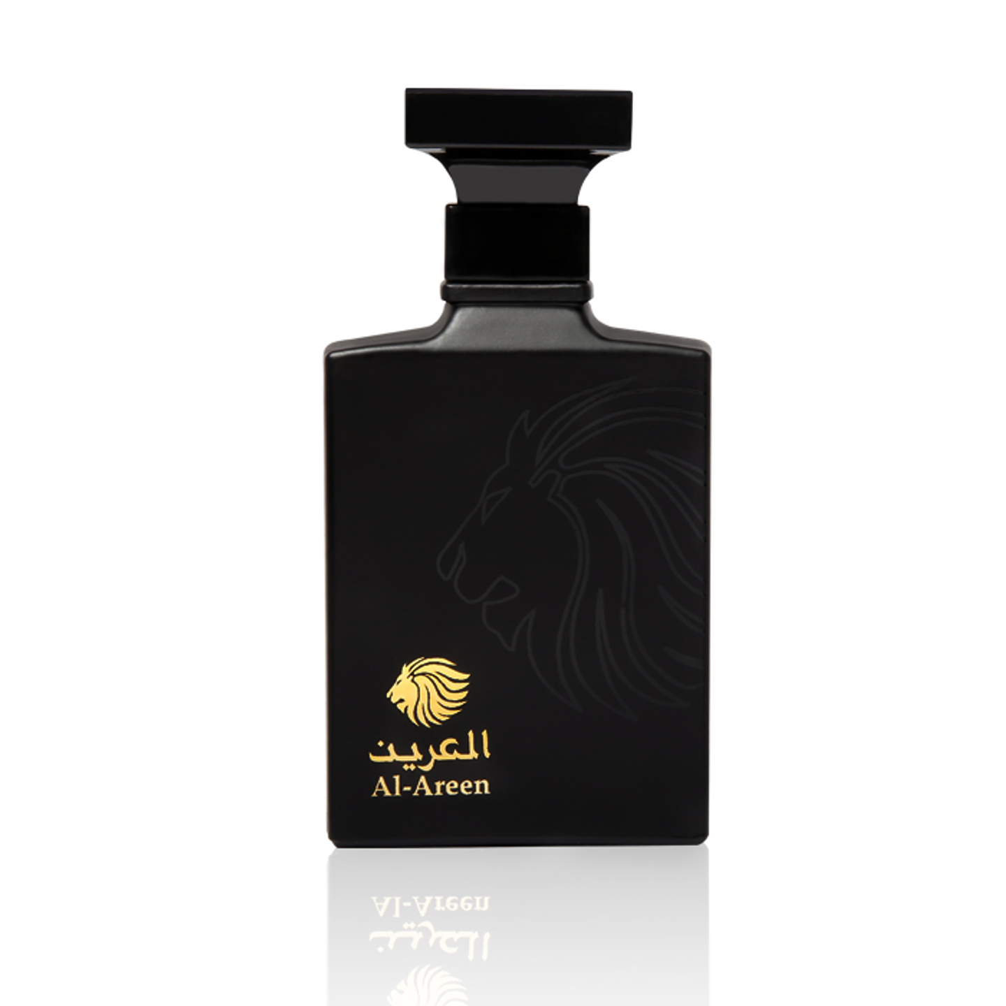 Al Dakheel Oud Al Areen Black Spray 100 Ml
