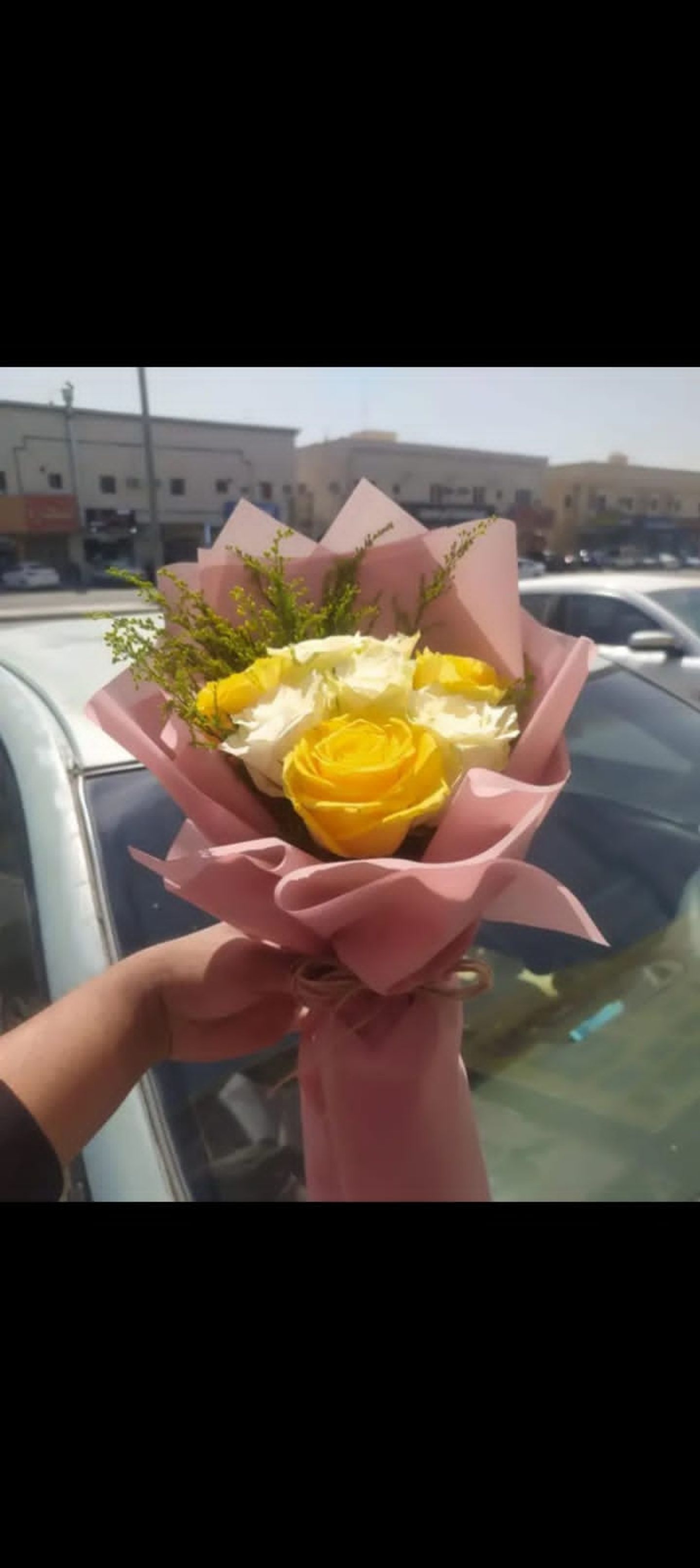 بي كيو26