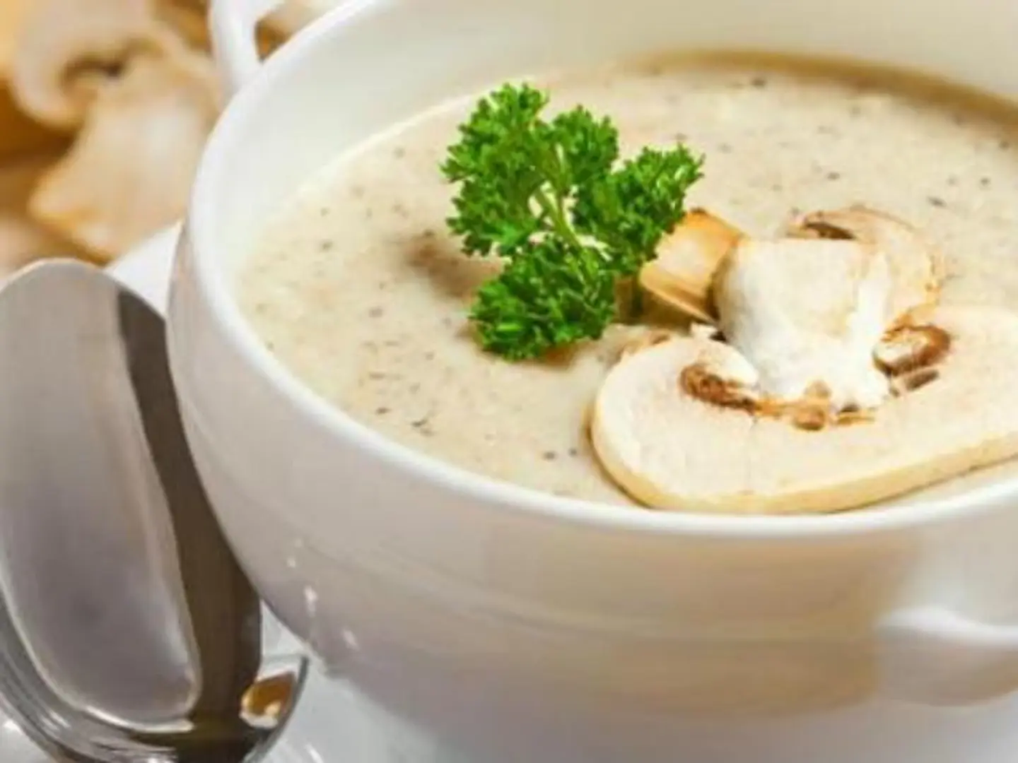 شوربة الكريمة بالدجاج