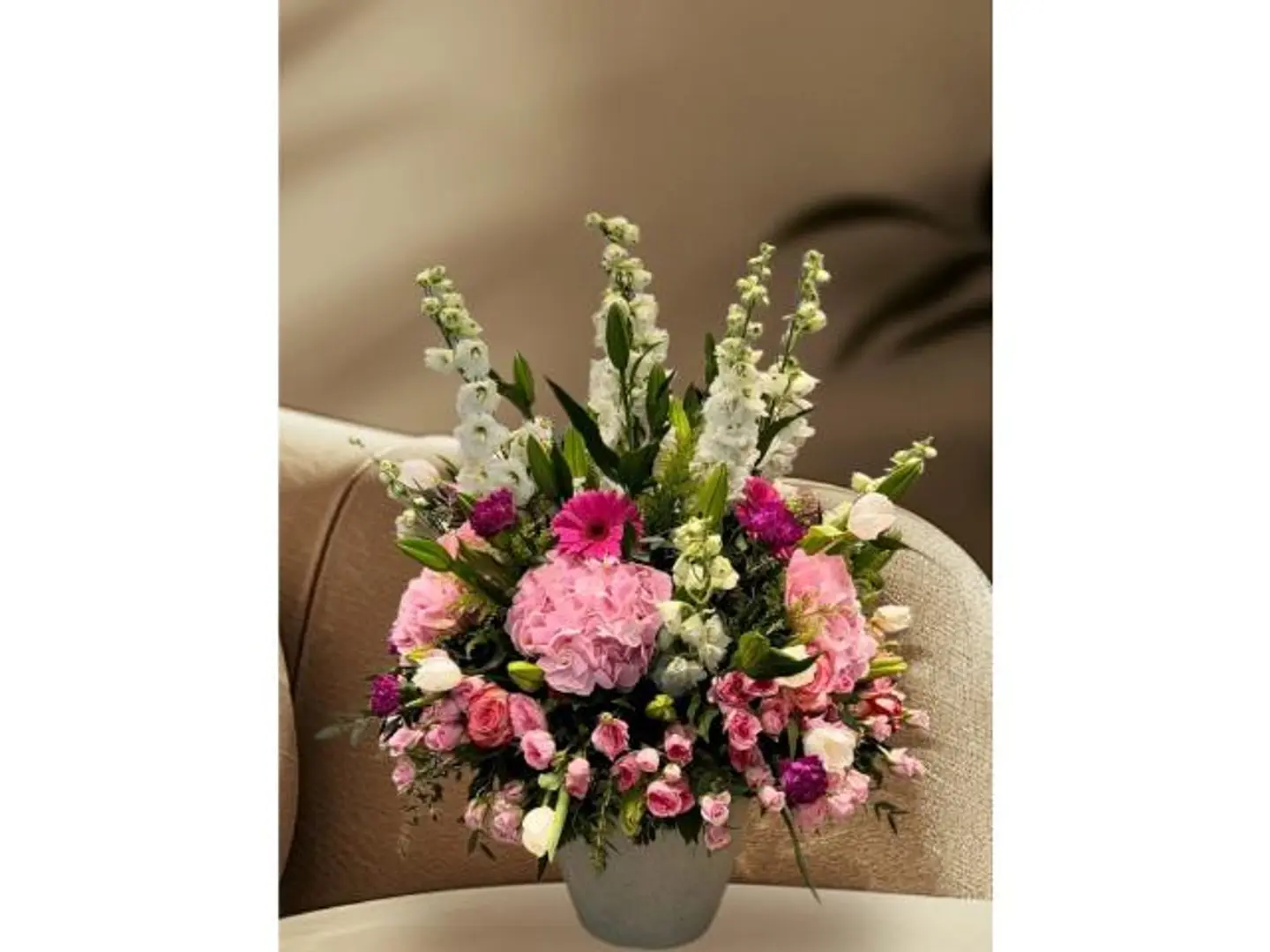 فازه الهيدرنجاء والدلفنيوم والفخامه