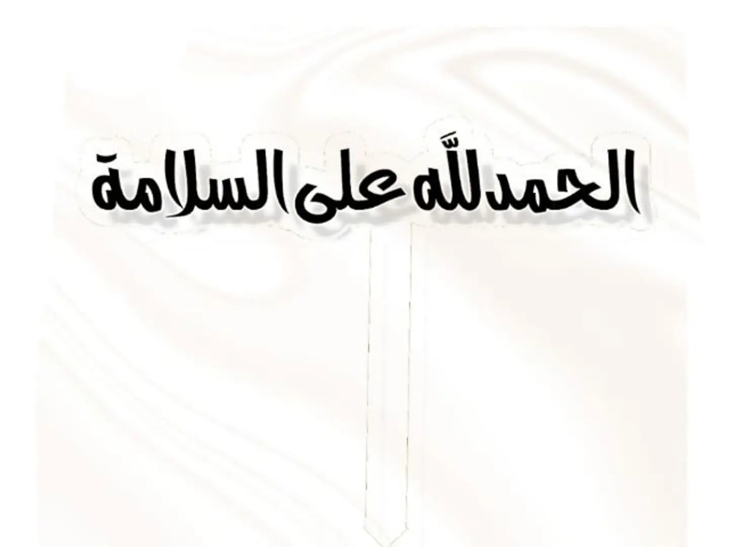 تغريسة السلامة 2