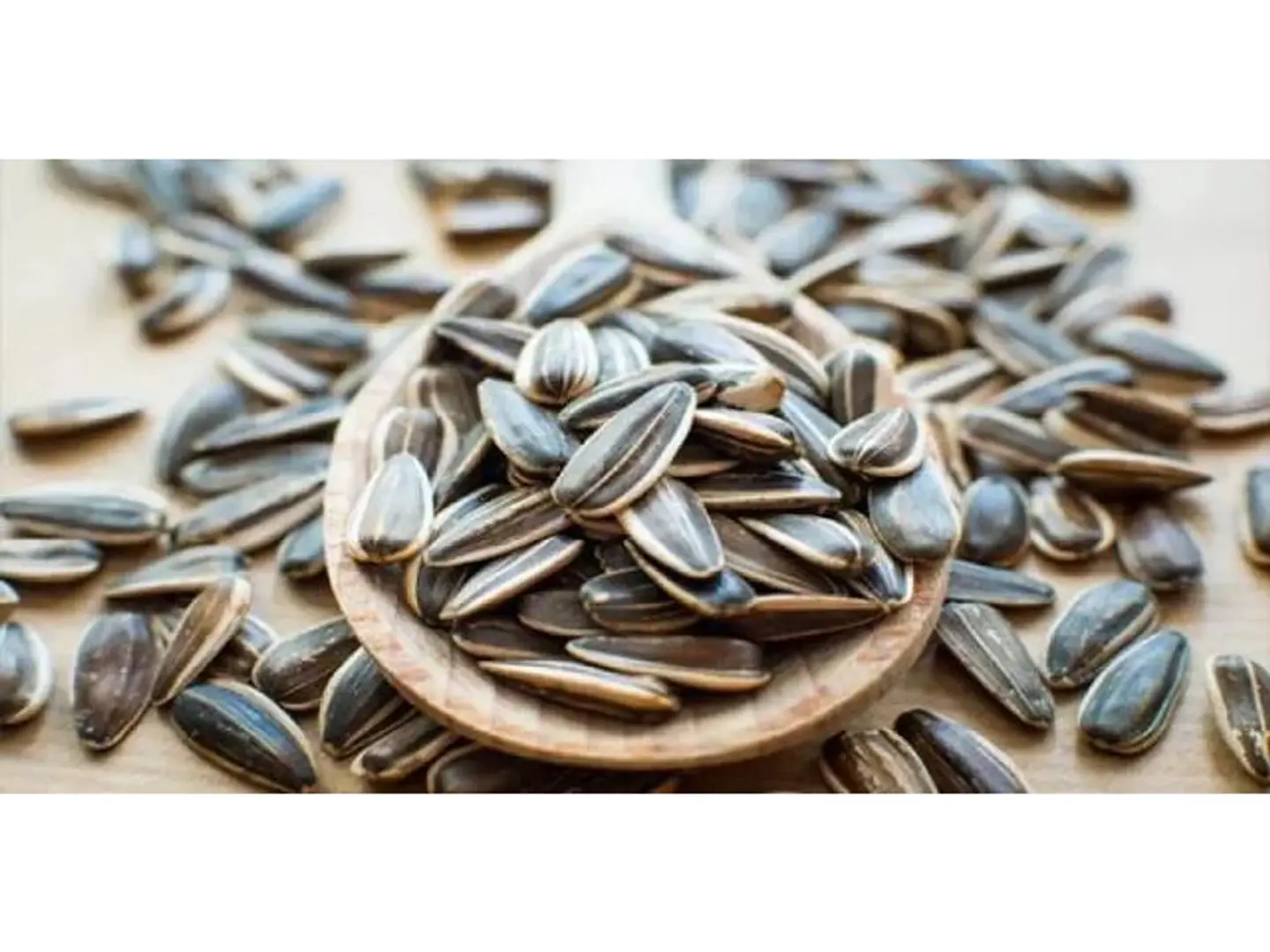 Sunflower Seeds Salted