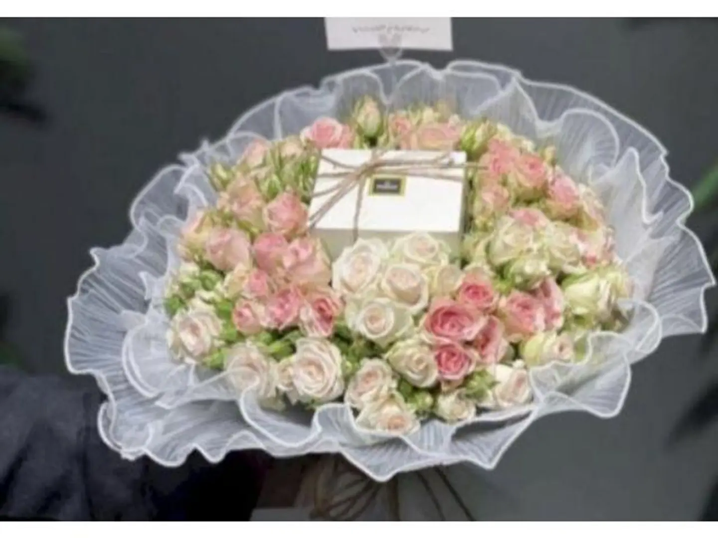 بوكية معا شكولاتة باتشي