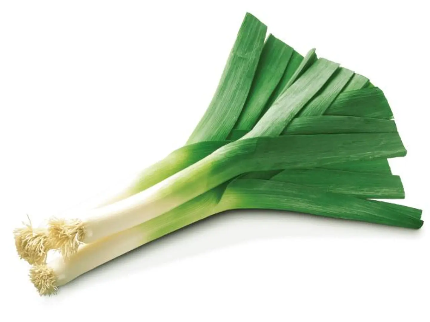 Leeks Holland