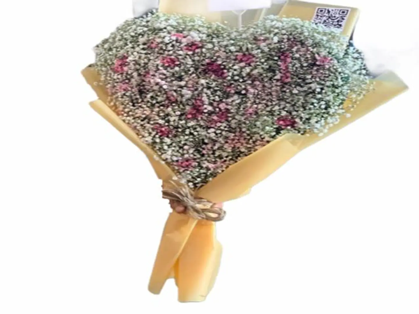 القلب الأبيض