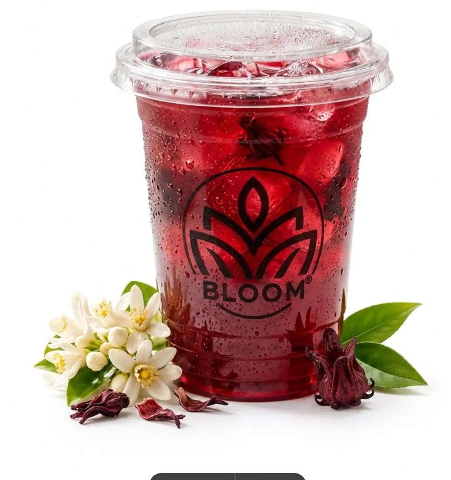 Cold Hibiscus