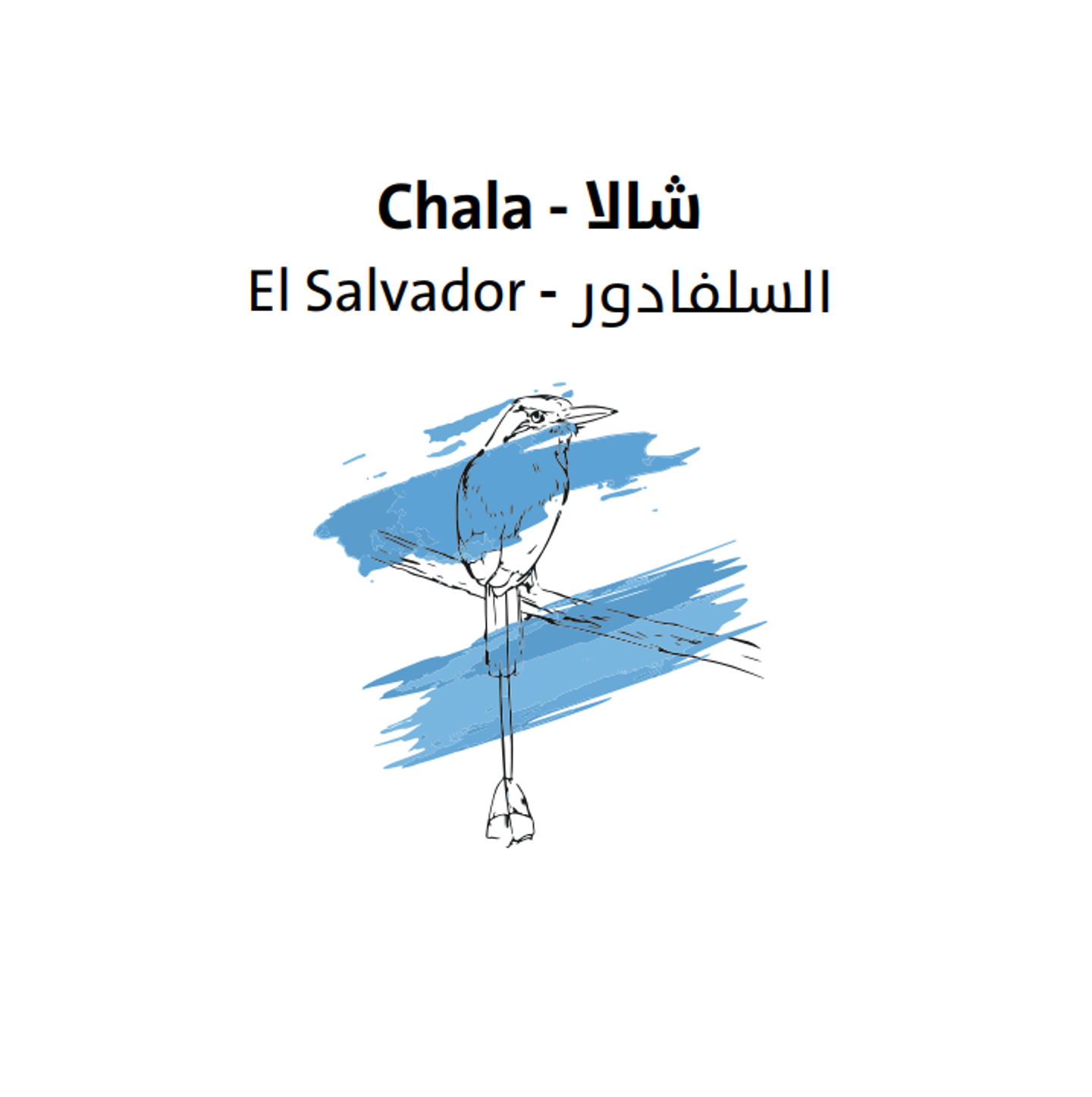 السلفادور - شالا250 جرام