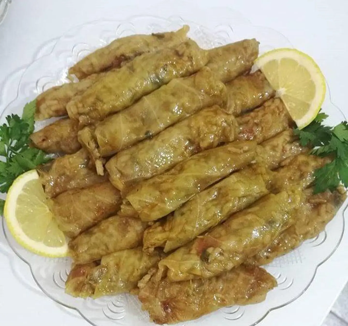 Large Plate Cabbage