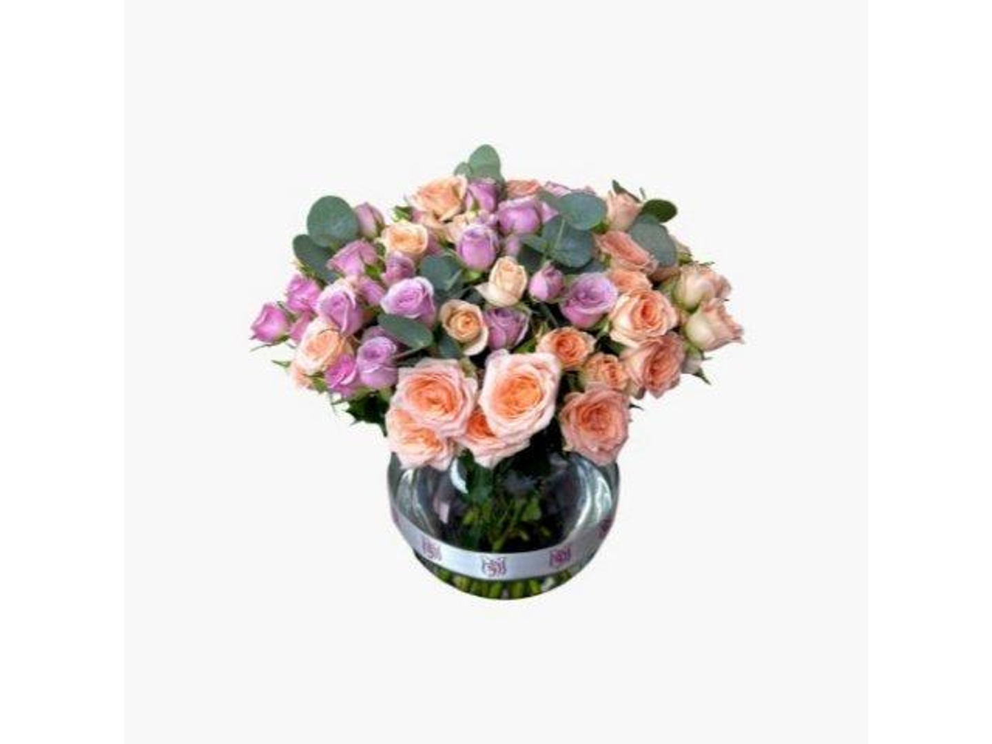 فازة انالك وطن ومئة بستان وألف حبيبة