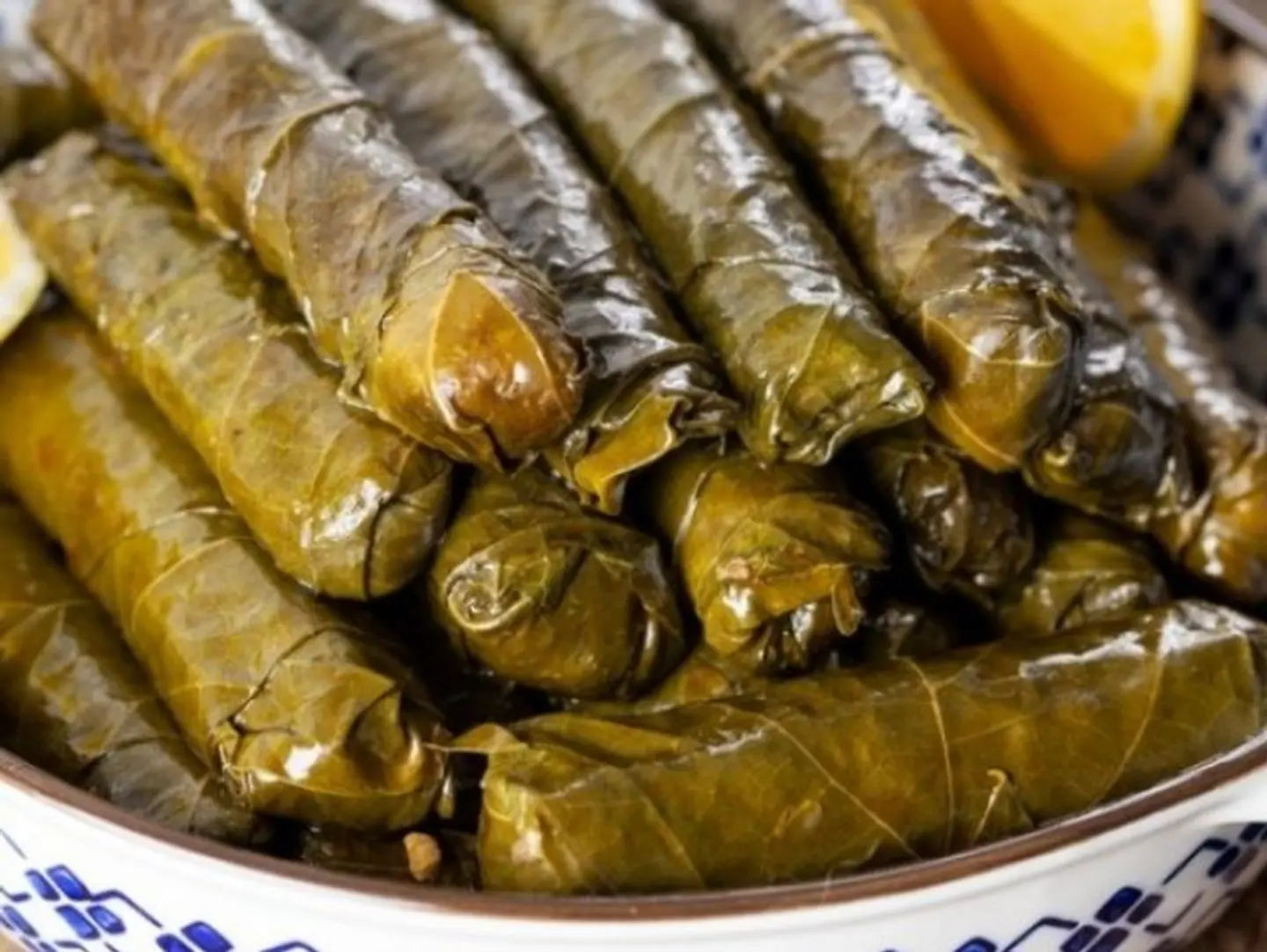 Medium Grape Leaves 10