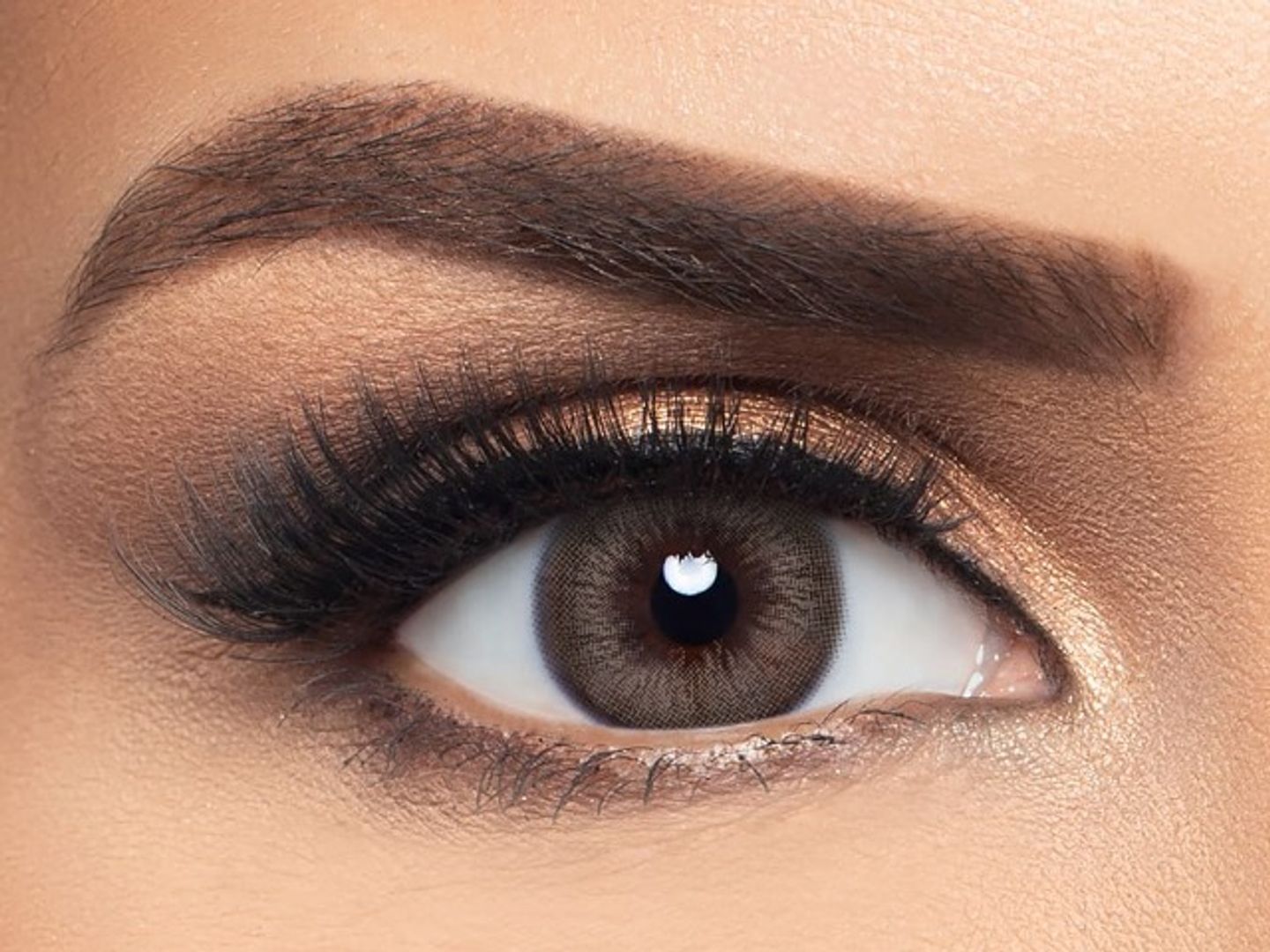Sable Brown Colored Contact Lenses By Layala  Pack Of 2