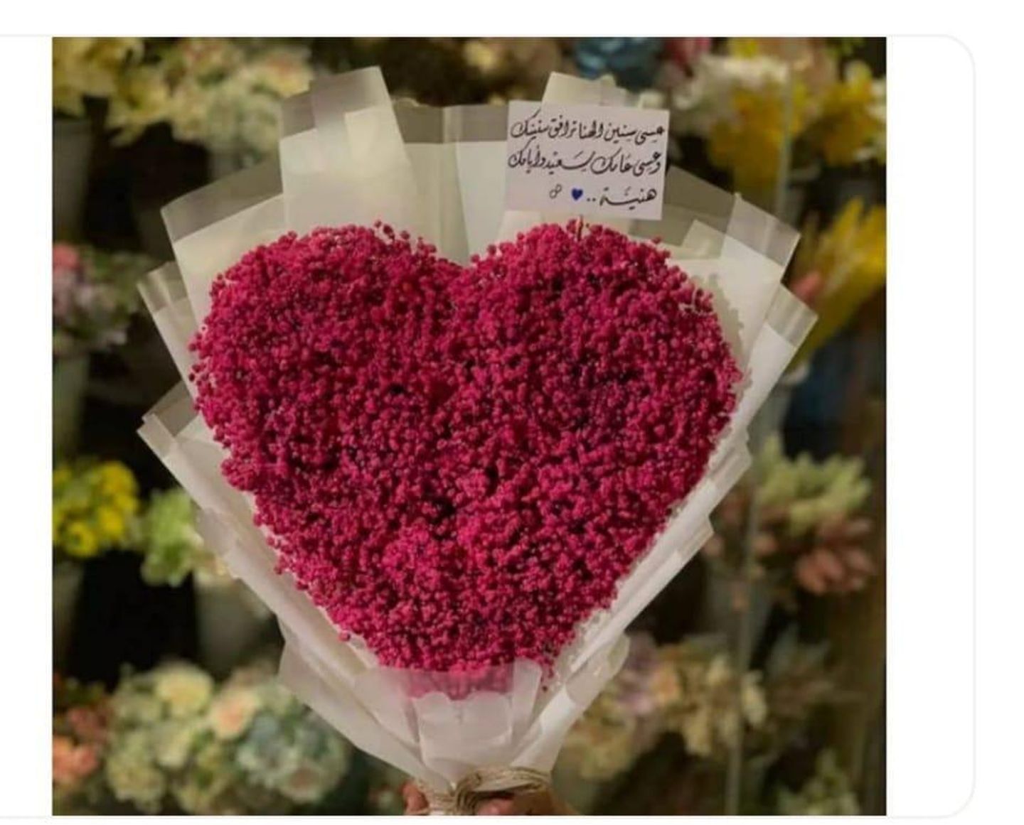 قلب جبسو